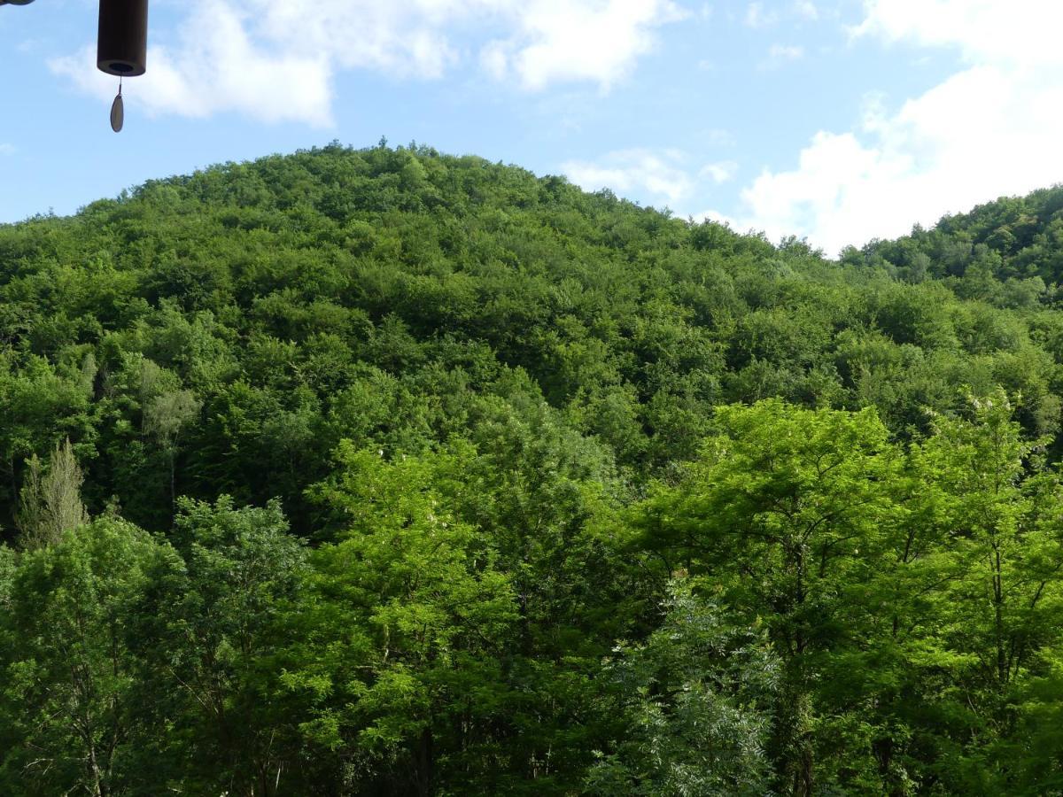Source Nature Mas-d'Azil Exteriör bild