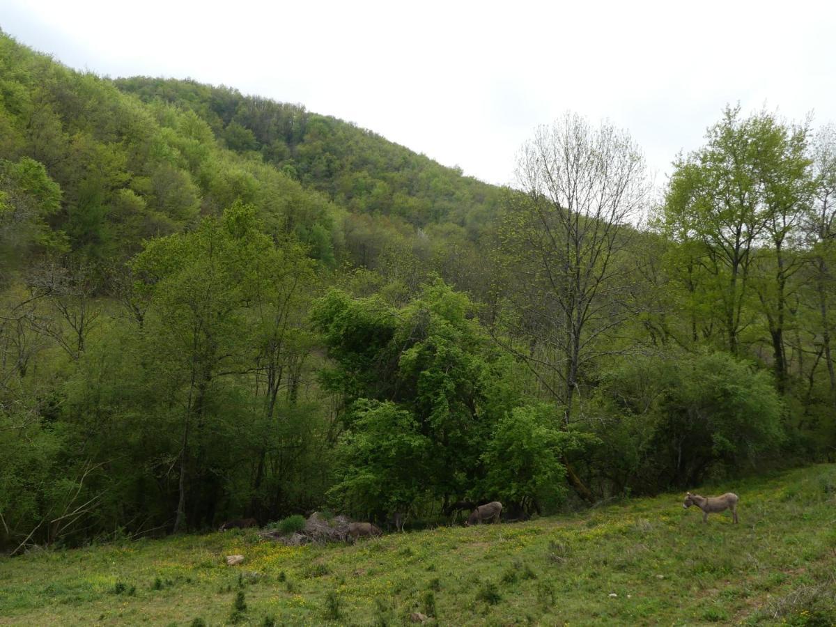 Source Nature Mas-d'Azil Exteriör bild